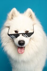 bijeli pas u snovima