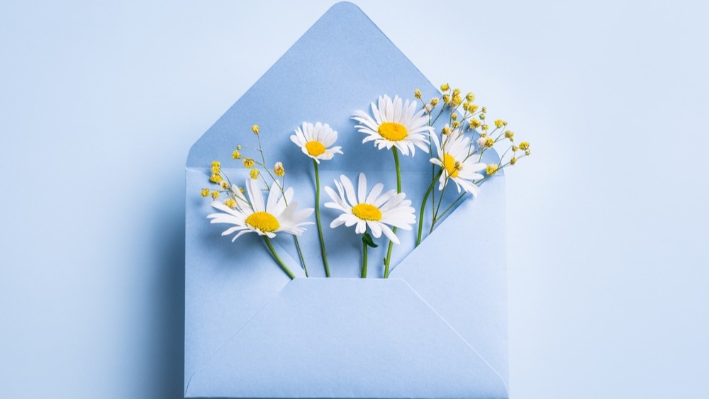 Što znači sanjati bijelo cvijeće? Evo 9 mogućih značenja